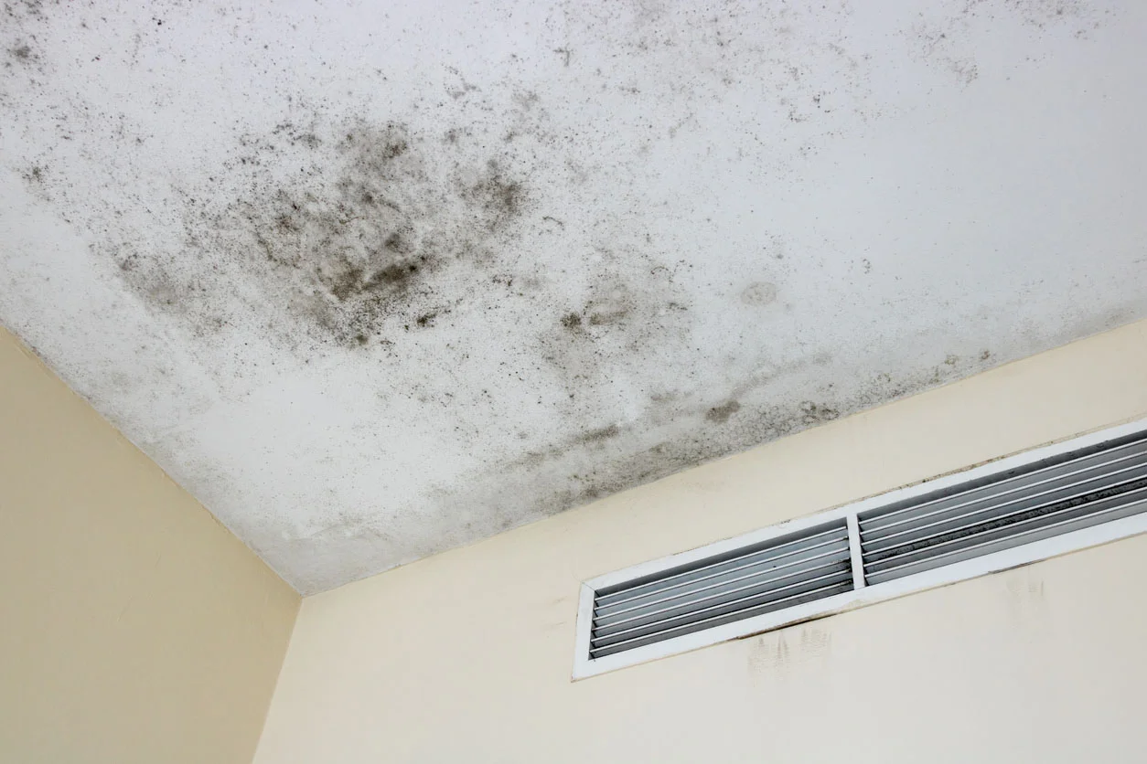 Mold-on-the-Ceiling jamur plafon
